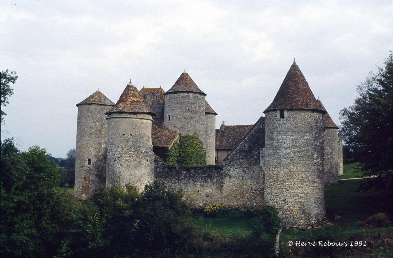 Вілла Gite De Puychevrier Merigny Екстер'єр фото